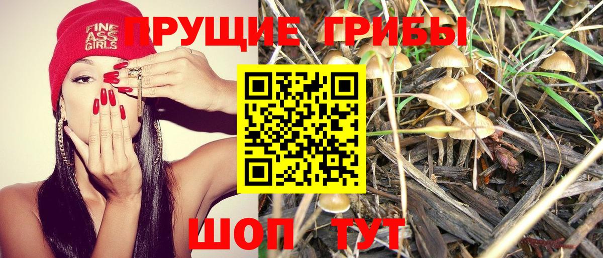 где продают   Псилоцибиновые грибы мухоморы  Галлюциногенные грибы ЛСД  Вход с VPN  Химки 